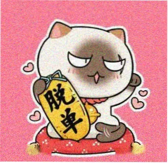 网红风采 程野